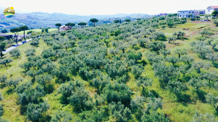 Image No.32-3 Bed Country House for sale