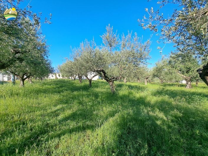 Image No.33-3 Bed Country House for sale