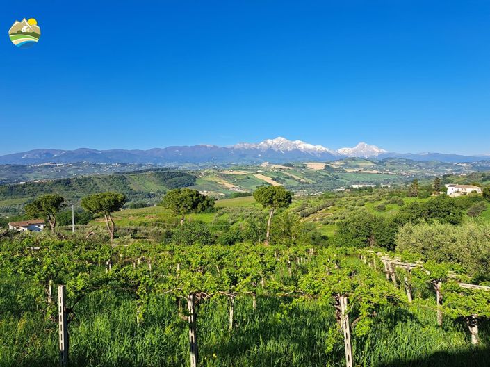 Image No.37-3 Bed Country House for sale