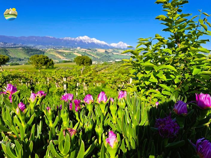 Image No.6-3 Bed Country House for sale