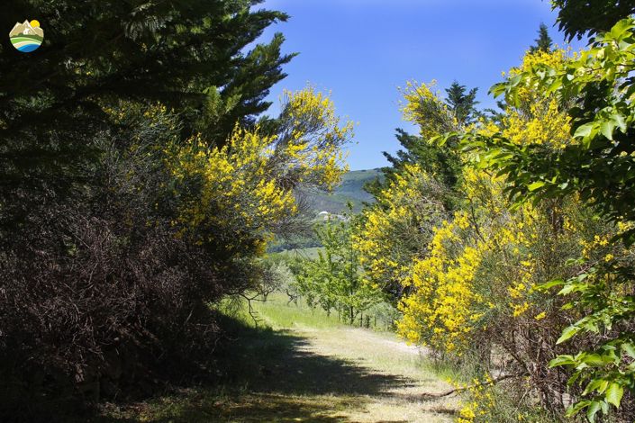 Image No.4-4 Bed Country House for sale