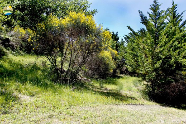 Image No.41-4 Bed Country House for sale