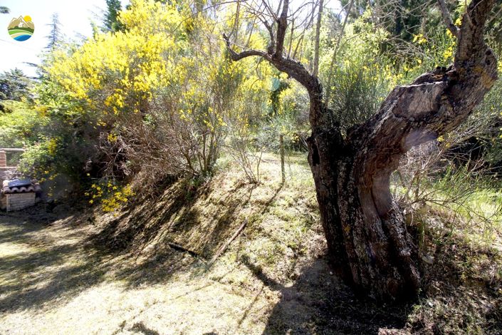 Image No.45-4 Bed Country House for sale