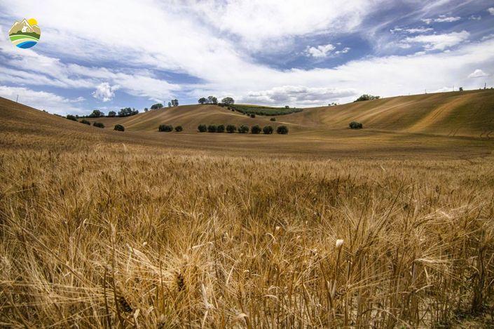 Image No.28-Maison de campagne de 3 chambres à vendre à Penne
