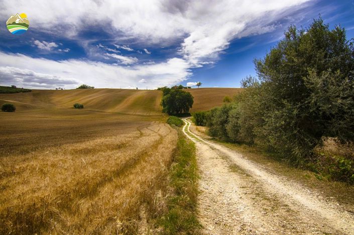 Image No.29-Maison de campagne de 3 chambres à vendre à Penne