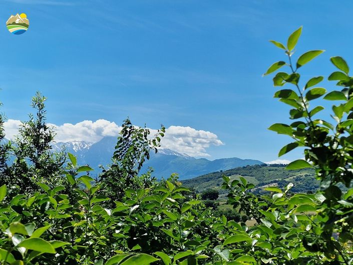 Image No.30-3 Bed Townhouse for sale