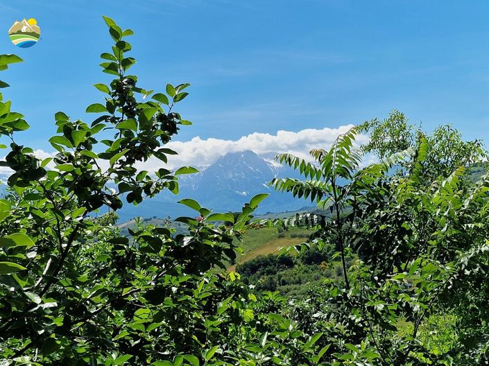 Image No.10-3 Bed Townhouse for sale