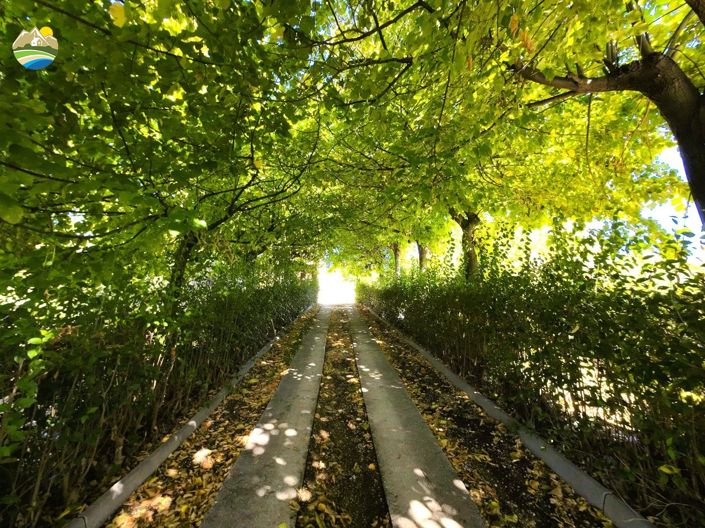 Image No.17-4 Bed Villa for sale