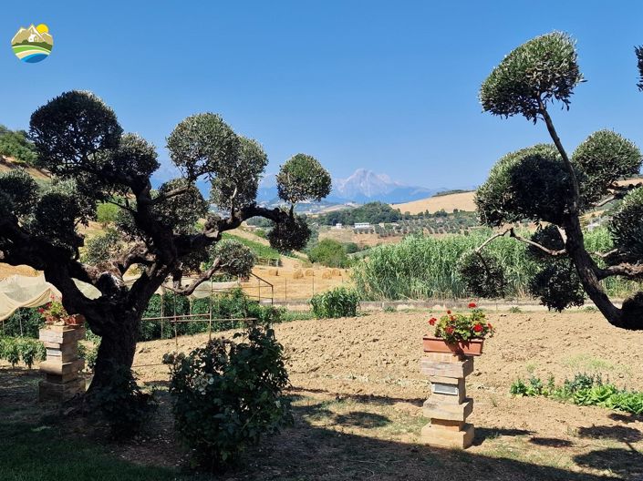 Image No.12-Maison de campagne de 3 chambres à vendre à Castilenti