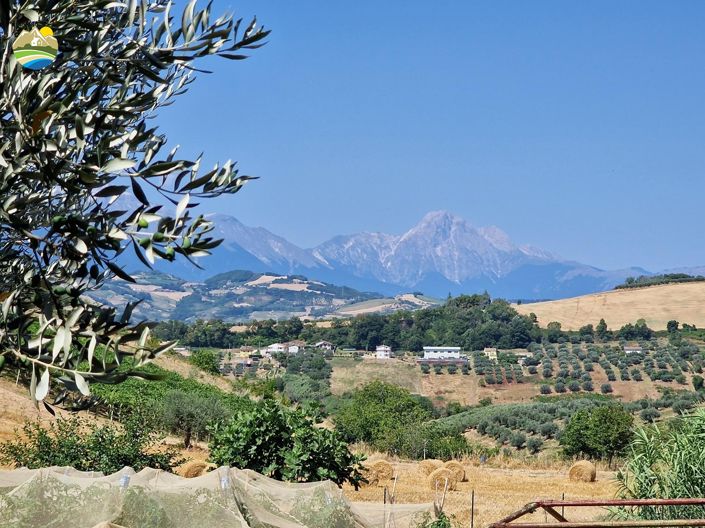 Image No.13-Maison de campagne de 3 chambres à vendre à Castilenti