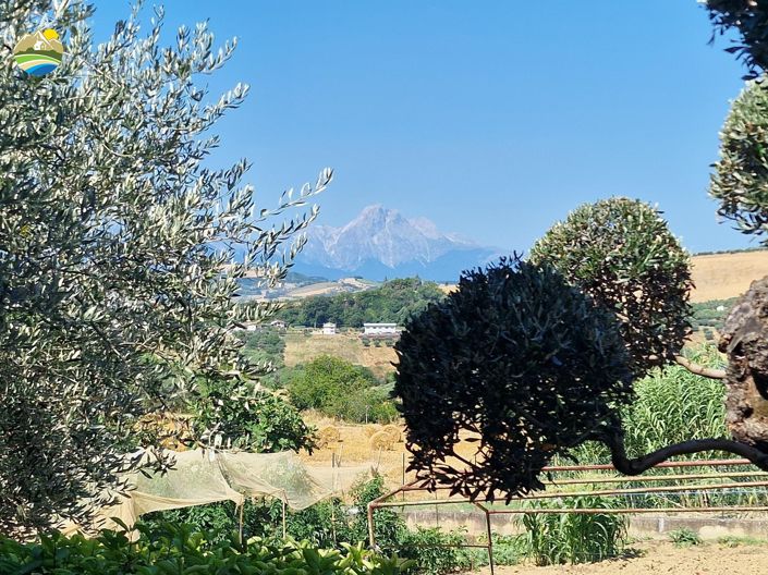 Image No.17-Maison de campagne de 3 chambres à vendre à Castilenti