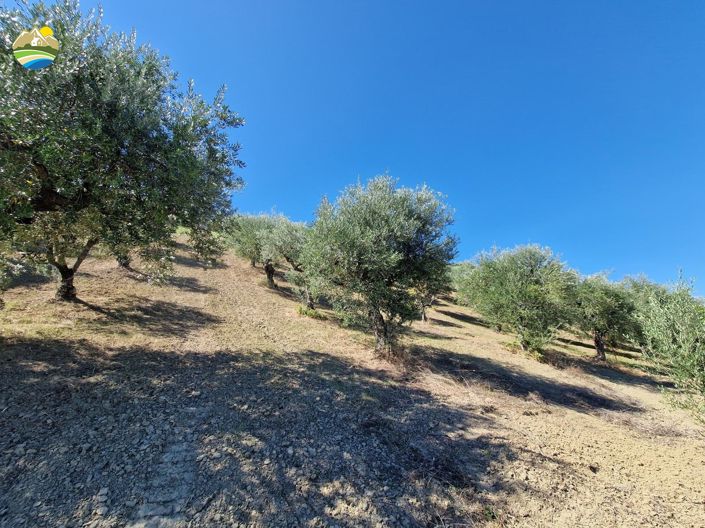 Image No.12-3 Bed Country House for sale