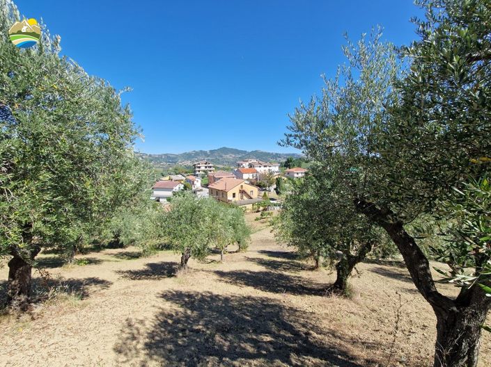 Image No.13-3 Bed Country House for sale