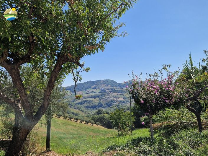 Image No.14-3 Bed Country House for sale