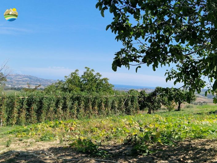 Image No.32-3 Bed Country House for sale