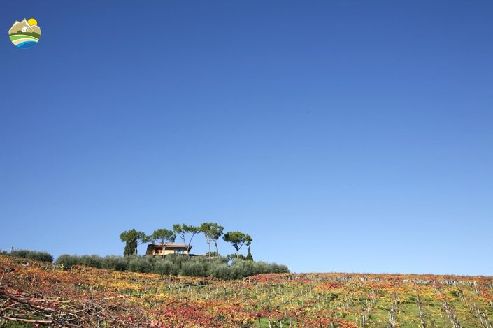 Image No.20-5 Bed Villa for sale