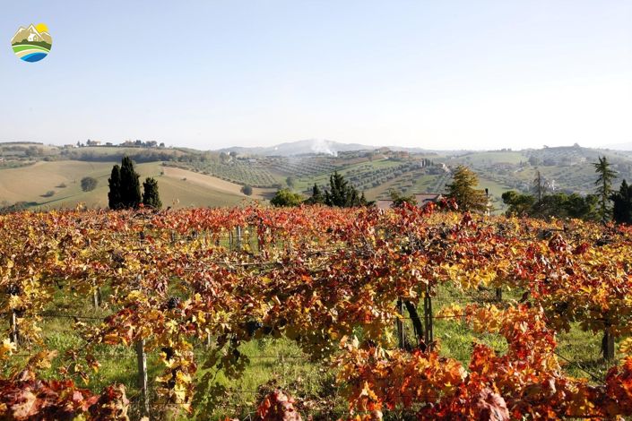 Image No.29-5 Bed Villa for sale