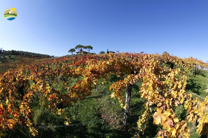 Image No.33-5 Bed Villa for sale