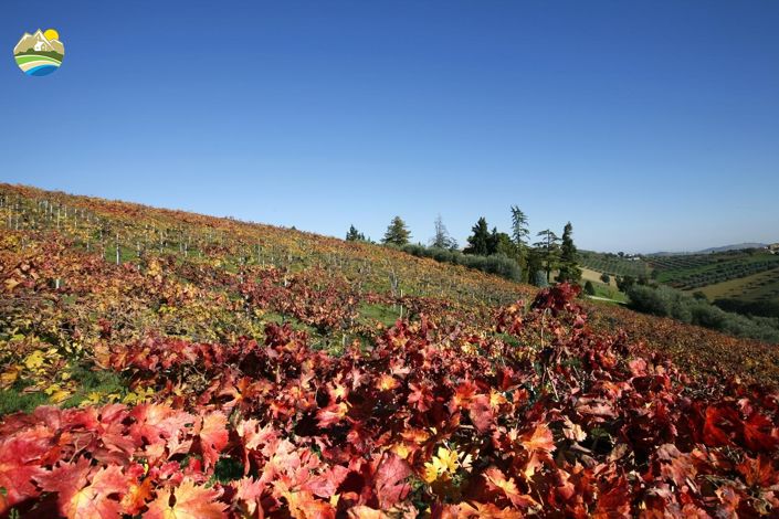 Image No.37-5 Bed Villa for sale