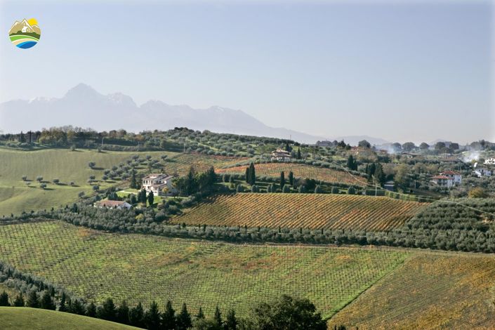 Image No.39-5 Bed Villa for sale