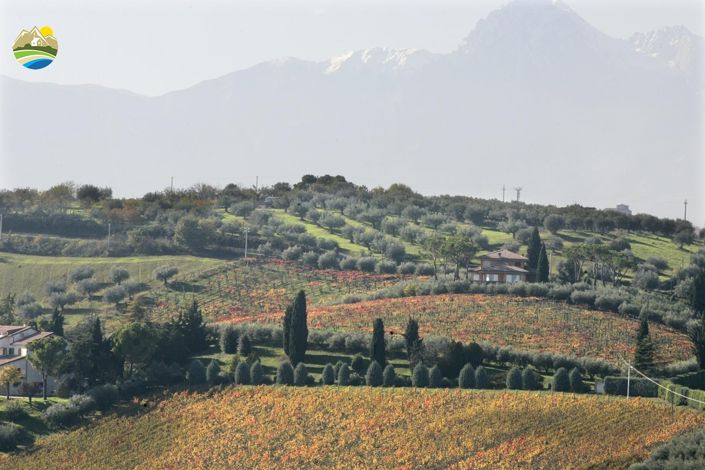 Image No.42-5 Bed Villa for sale