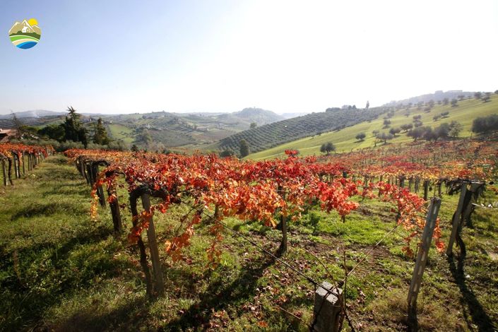 Image No.43-5 Bed Villa for sale