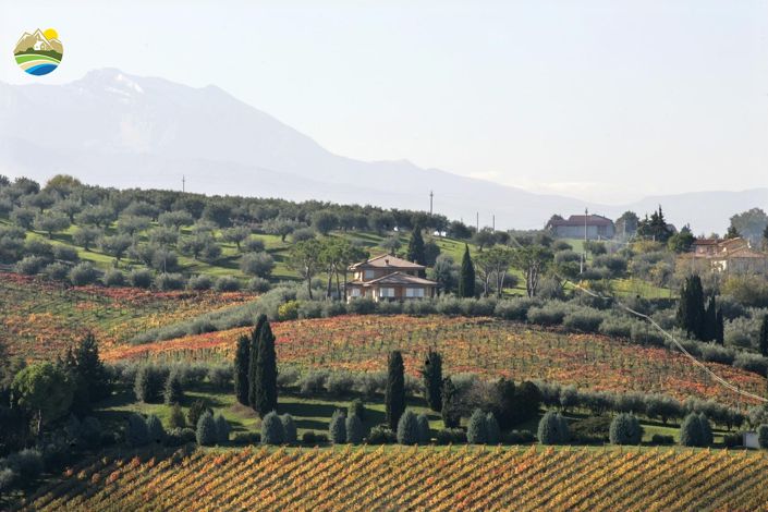 Image No.46-5 Bed Villa for sale