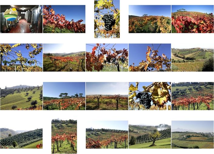 Image No.49-5 Bed Villa for sale