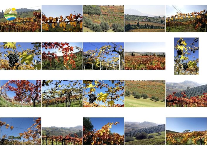 Image No.50-5 Bed Villa for sale