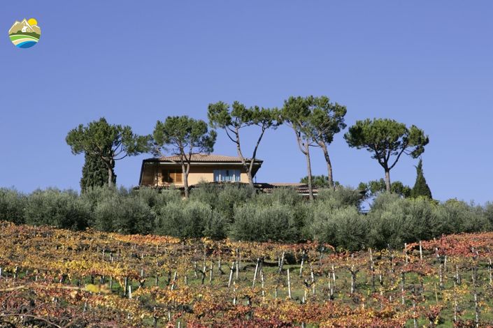 Image No.6-5 Bed Villa for sale