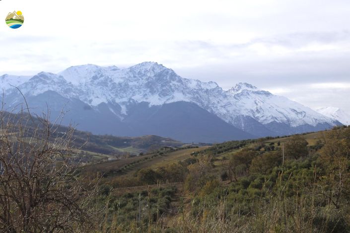 Image No.29-4 Bed Country House for sale