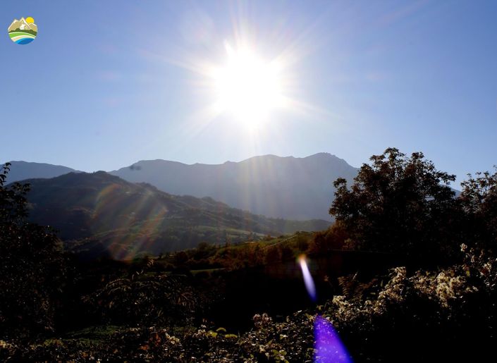 Image No.3-4 Bed Country House for sale