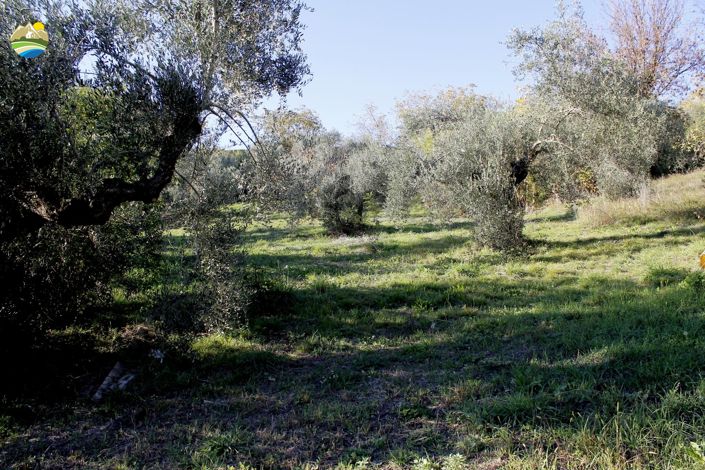 Image No.8-4 Bed Country House for sale