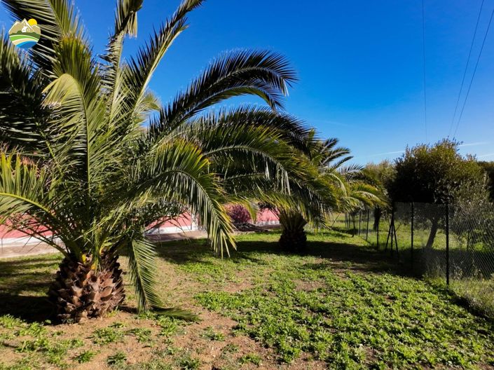 Image No.39-Maison de campagne de 4 chambres à vendre à Atri