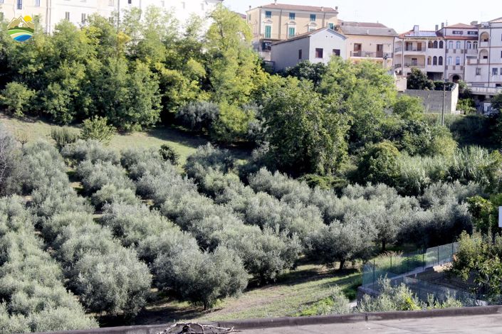 Image No.14-Maison de campagne de 1 chambre à vendre à Castilenti