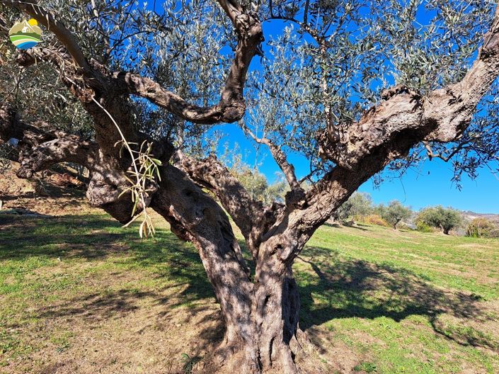 Image No.23-2 Bed Country House for sale