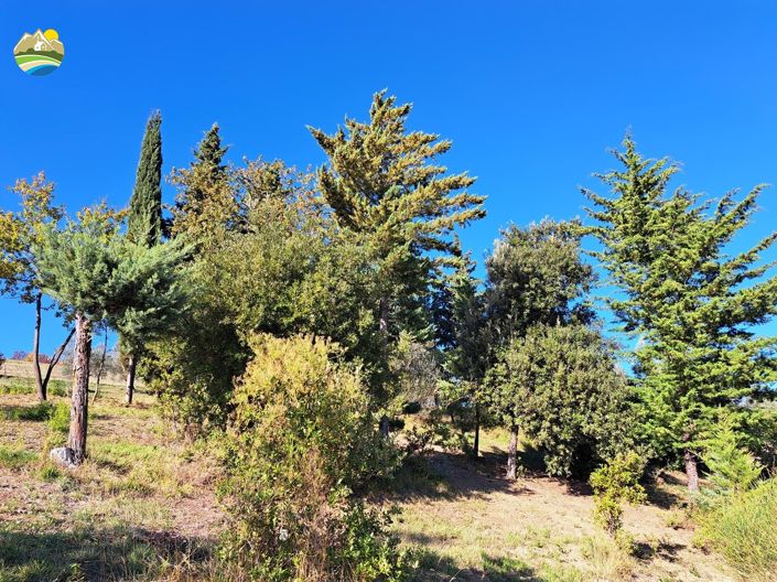 Image No.24-2 Bed Country House for sale