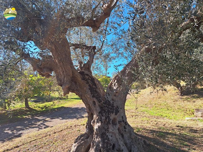 Image No.25-2 Bed Country House for sale