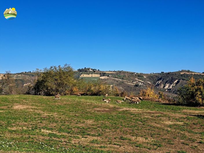 Image No.26-2 Bed Country House for sale