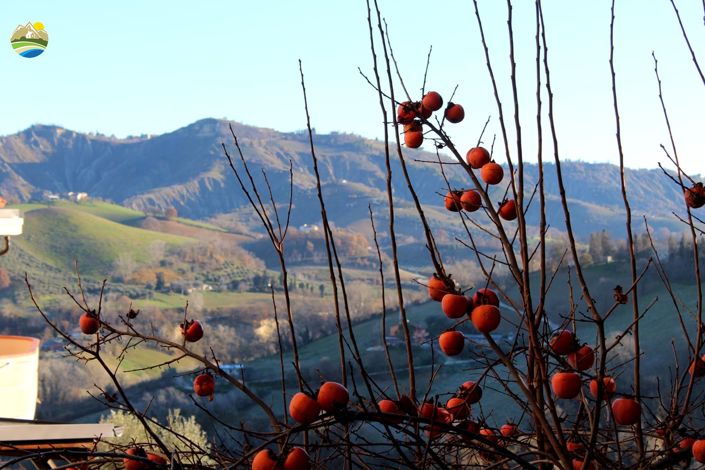 Image No.32-3 Bed Property for sale