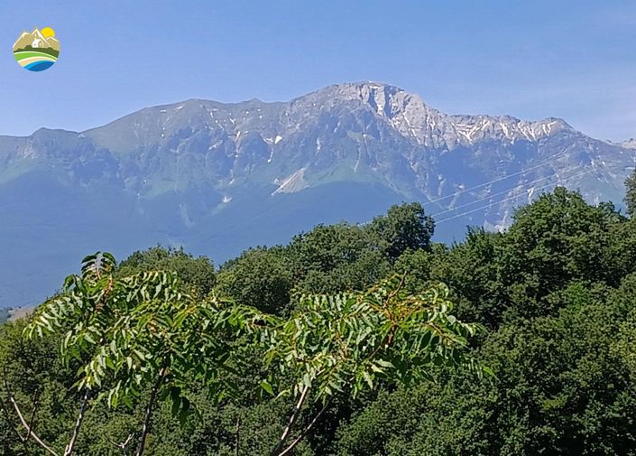 Image No.3-2 Bed Country House for sale