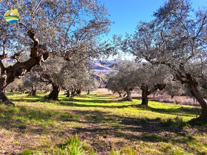 Image No.15-Maison de campagne de 7 chambres à vendre à Castiglione Messer Raimondo