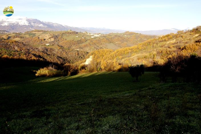 Image No.17-2 Bed Country House for sale