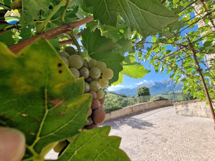 Image No.37-Maison de ville de 2 chambres à vendre à Arsita