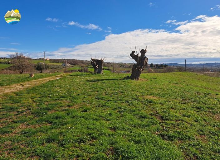 Image No.28-4 Bed Country House for sale