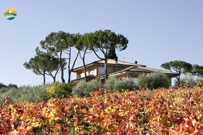 Image No.16-6 Bed Villa for sale