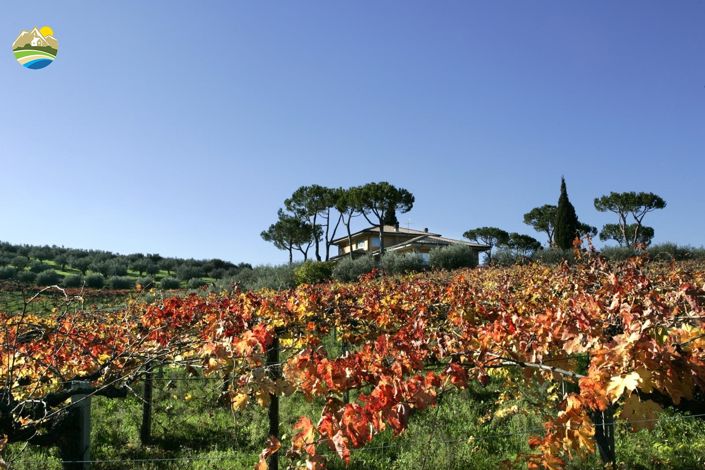 Image No.20-6 Bed Villa for sale