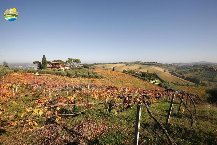 Image No.34-6 Bed Villa for sale