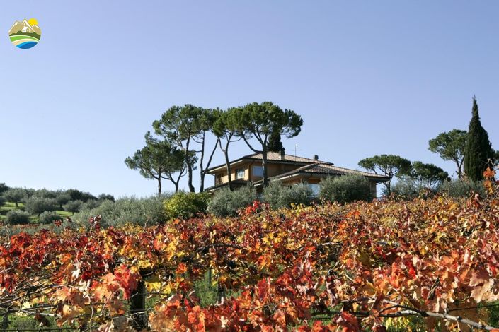 Image No.8-6 Bed Villa for sale