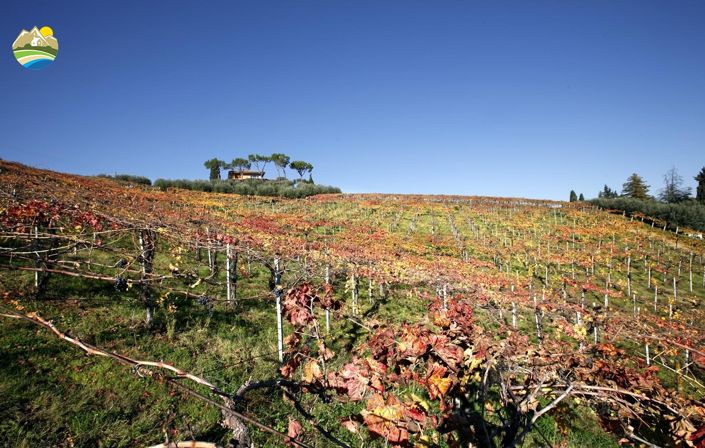 Image No.2-Terre à vendre à Notaresco